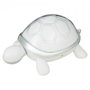 I-Turtle2